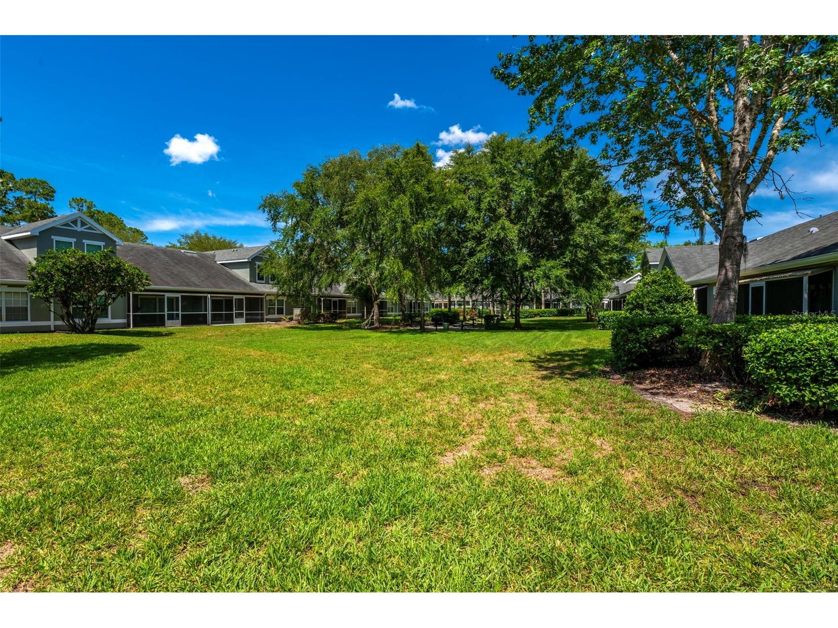 3638 Trafalgar Way #101 Palm Harbor FL 34685 TB8514773 image27