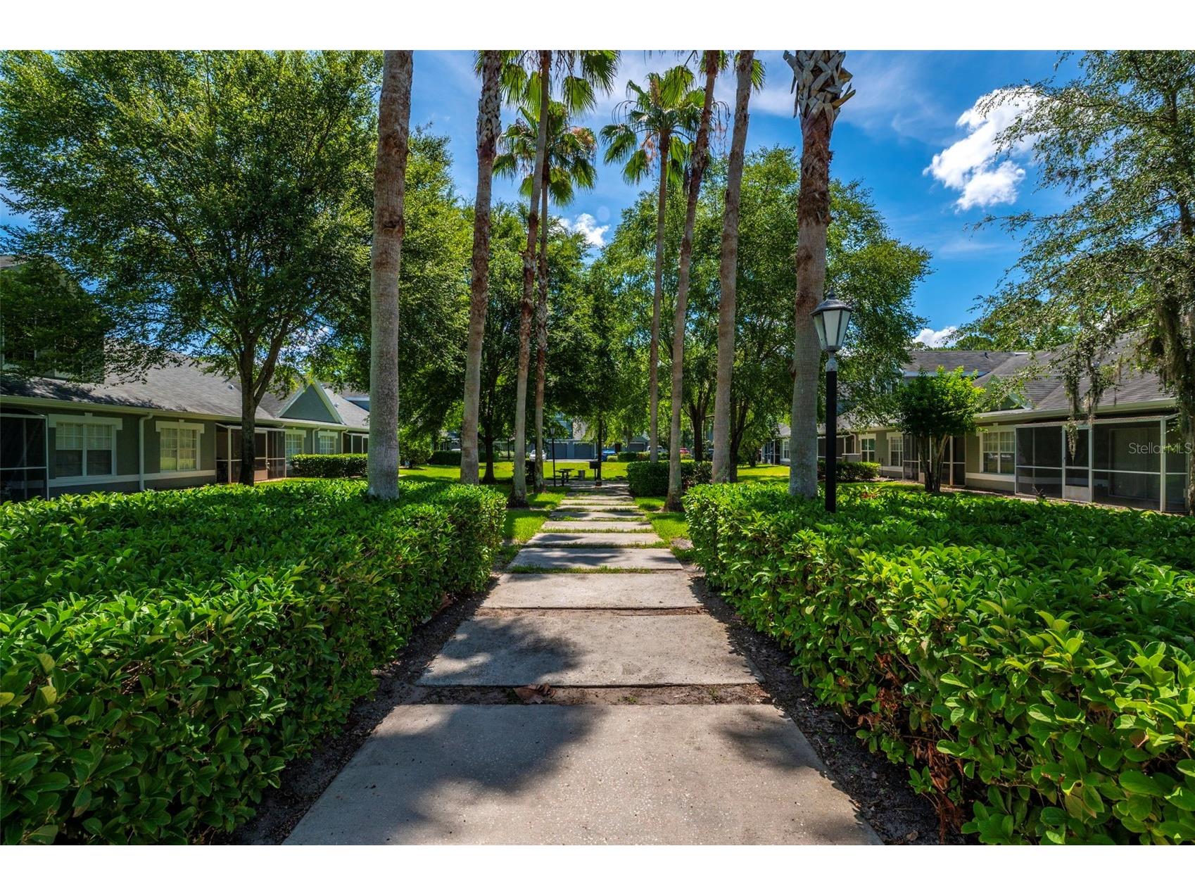 3638 Trafalgar Way #101 Palm Harbor FL 34685 TB8514773 image28