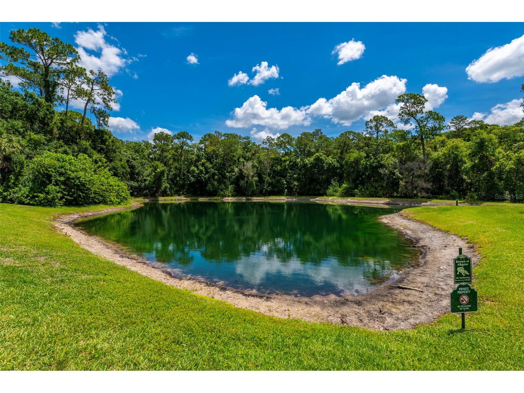3638 Trafalgar Way #101 Palm Harbor FL 34685 TB8514773 image30