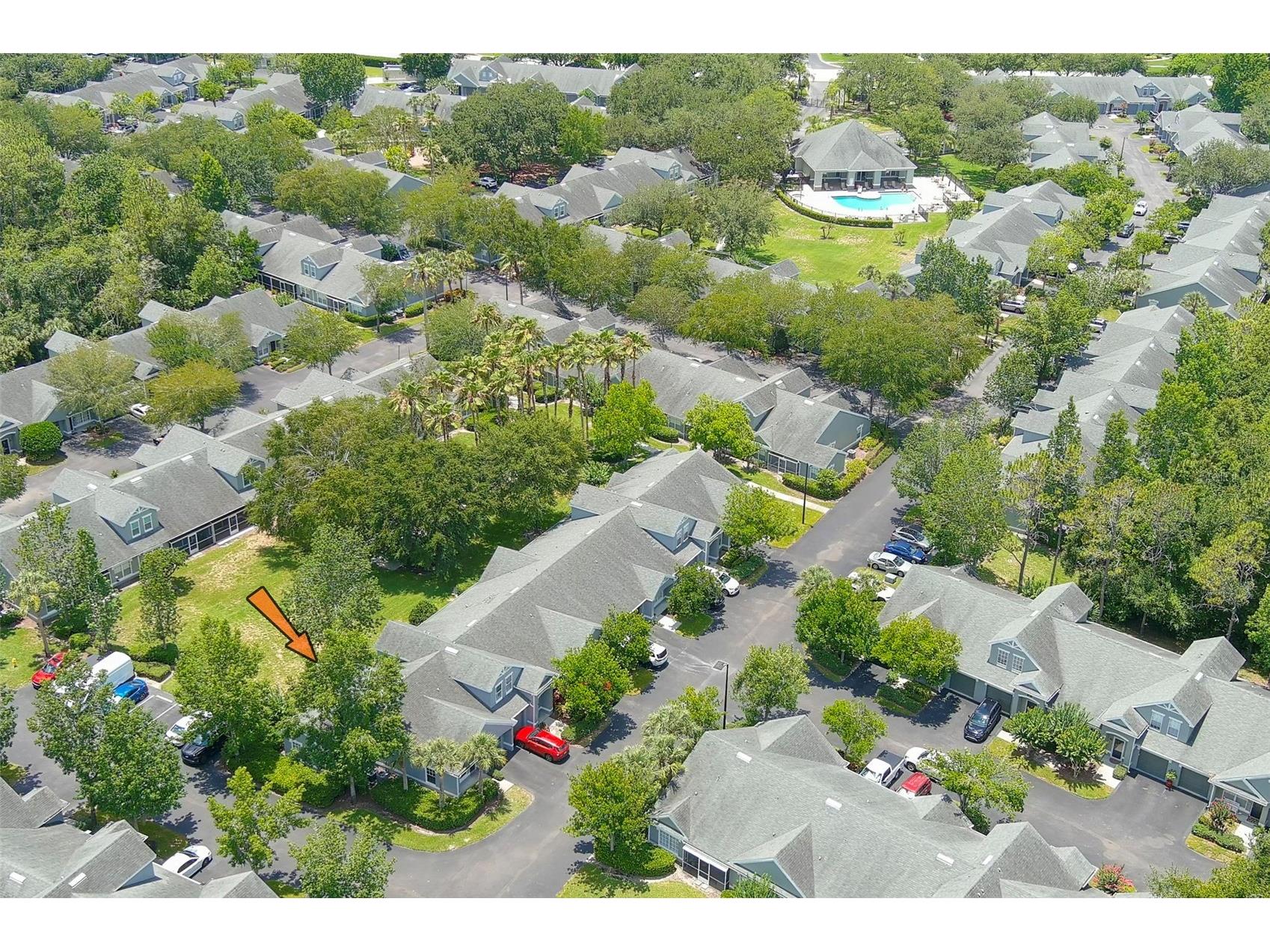 3638 Trafalgar Way #101 Palm Harbor FL 34685 TB8514773 image32