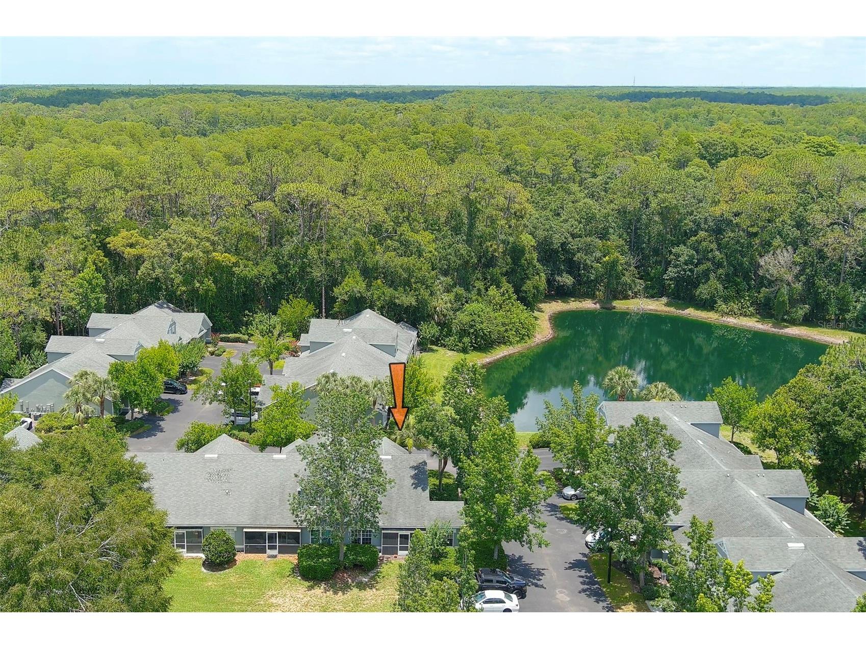 3638 Trafalgar Way #101 Palm Harbor FL 34685 TB8514773 image33