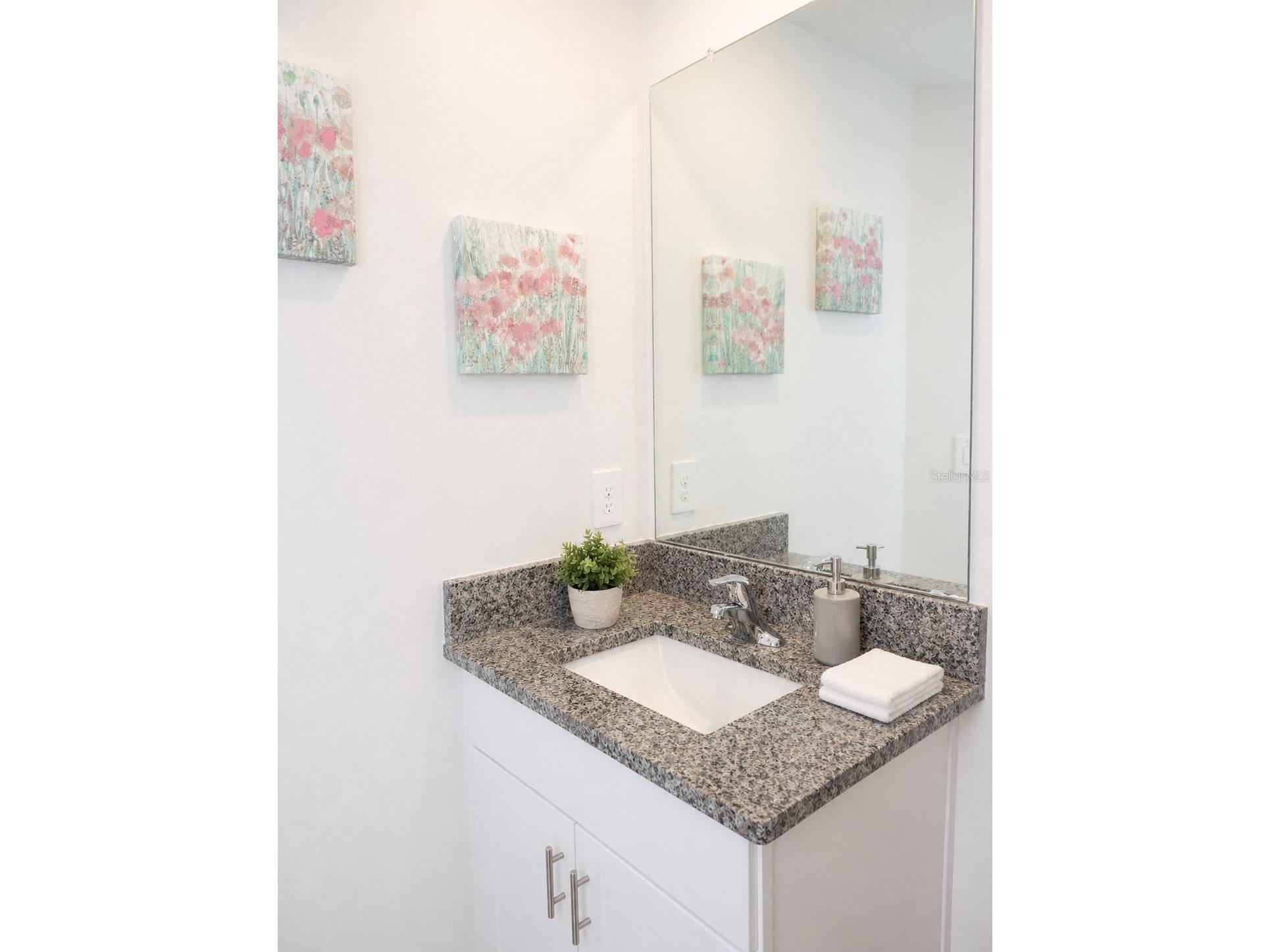 36384 Well Hill Way Zephyrhills FL 33541 TB8501823 image22
