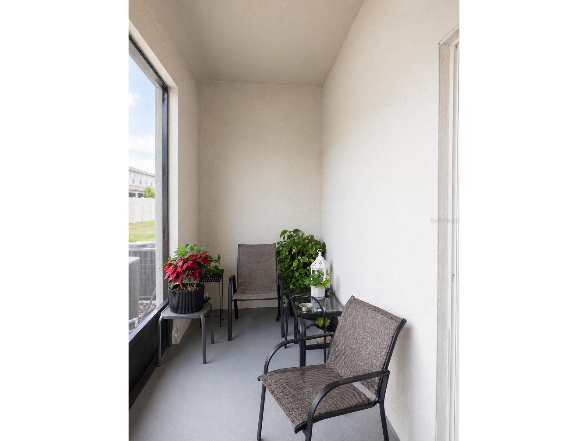 36384 Well Hill Way Zephyrhills FL 33541 TB8501823 image26