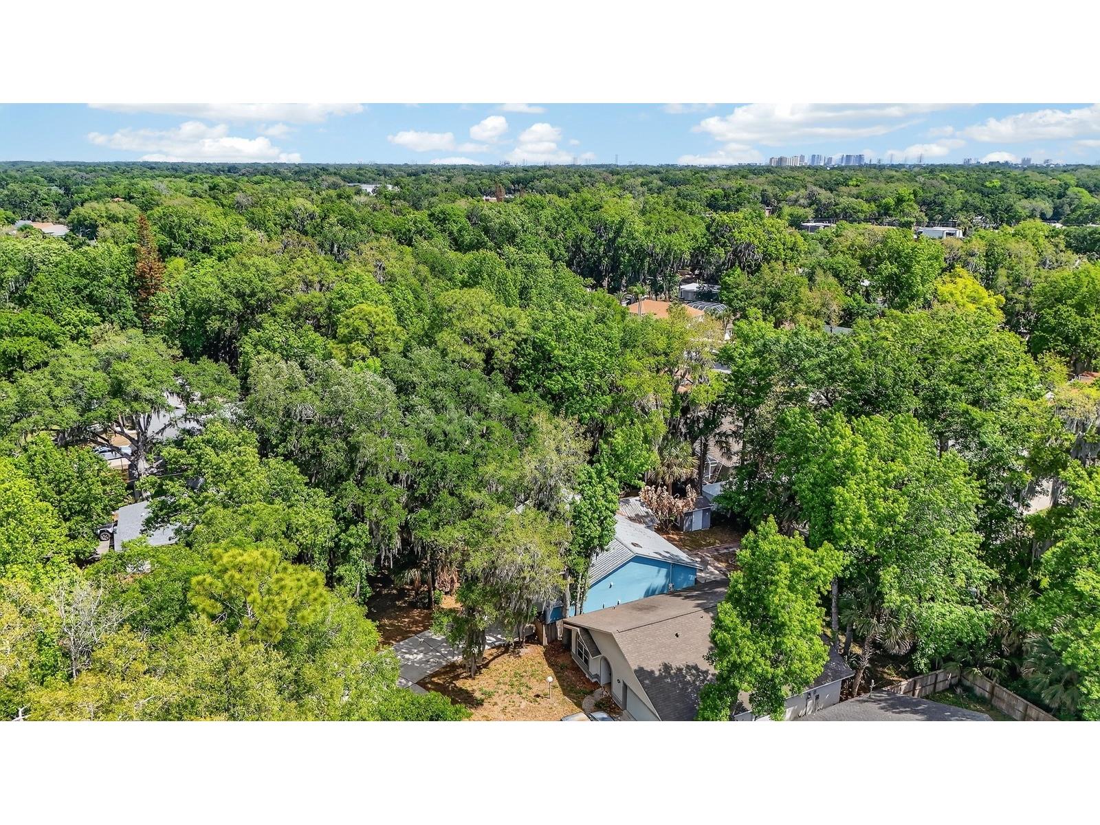 3639 Old Hammock Road Port Orange FL 32129 V4948288 image43