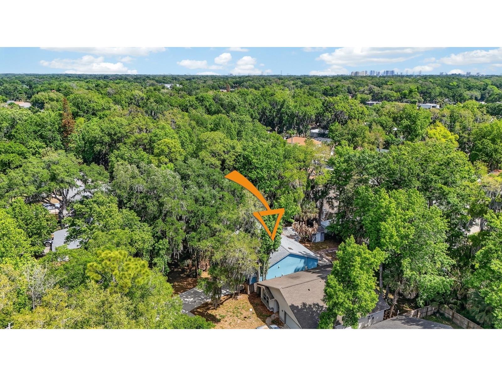 3639 Old Hammock Road Port Orange FL 32129 V4948288 image44