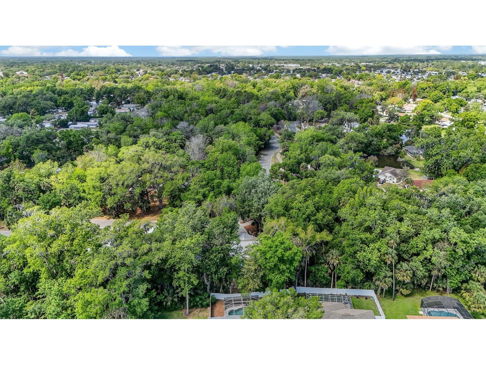 3639 Old Hammock Road Port Orange FL 32129 V4948288 image46