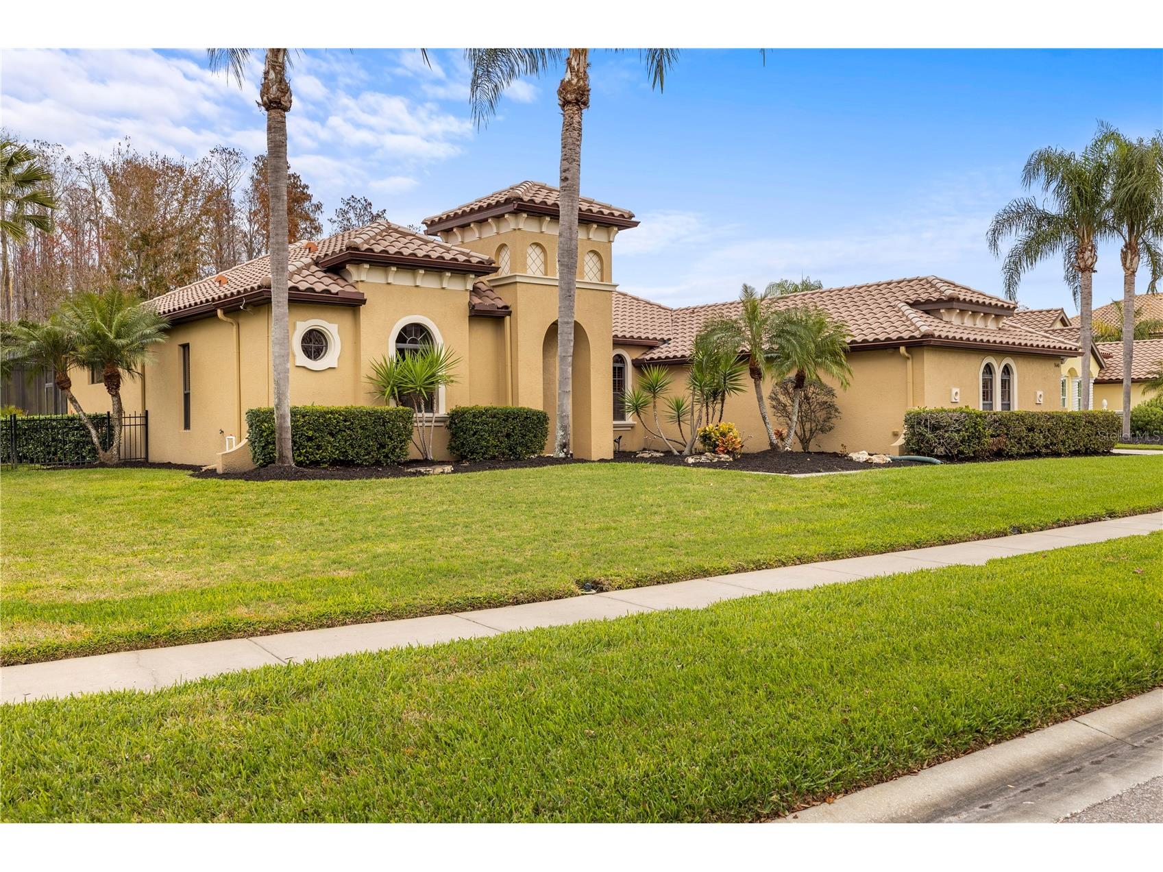 3640 Ballastone Drive Land O Lakes FL 34638 TB8465052 image61