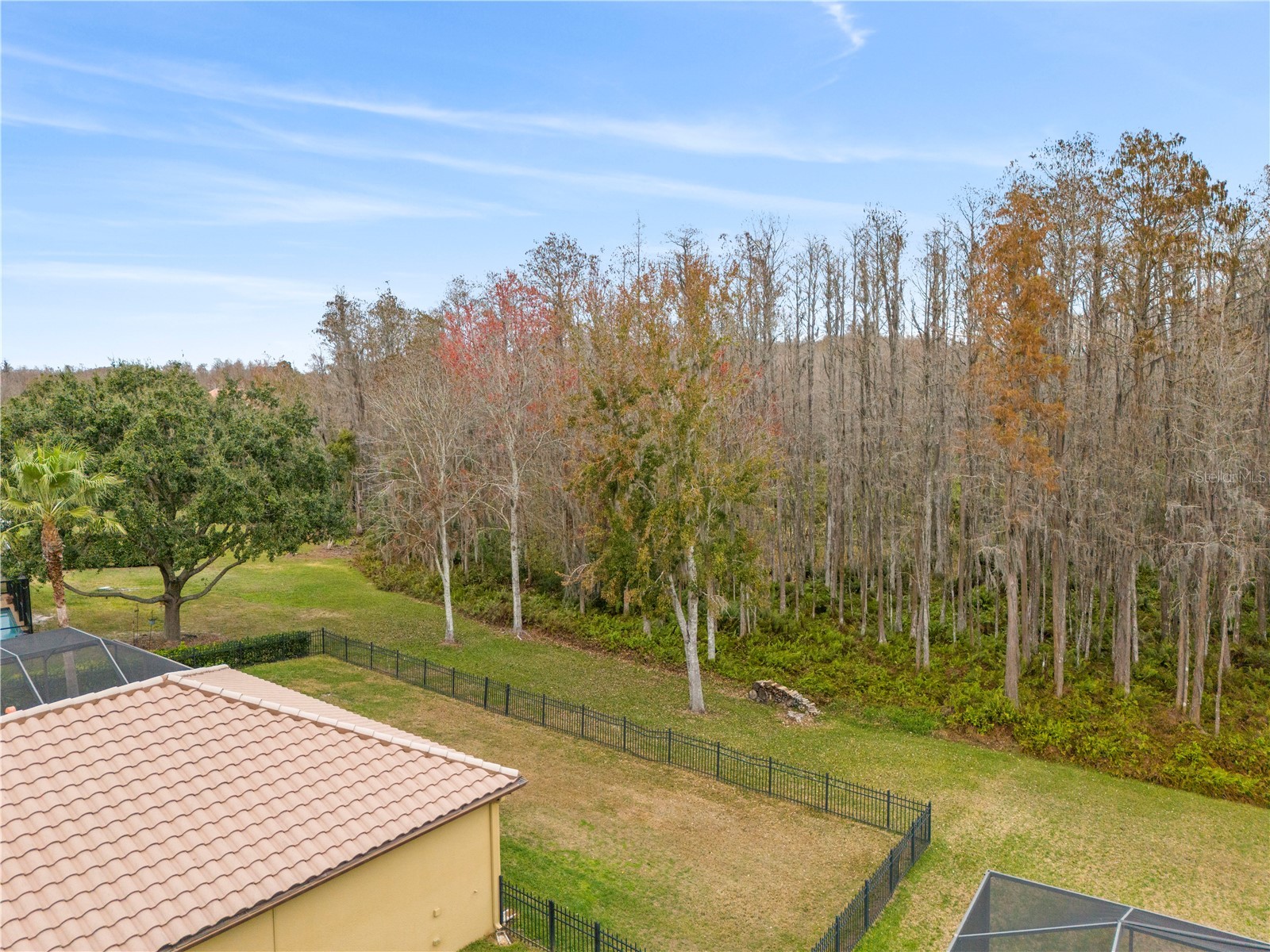 3640 Ballastone Drive Land O Lakes FL 34638 TB8465052 image63