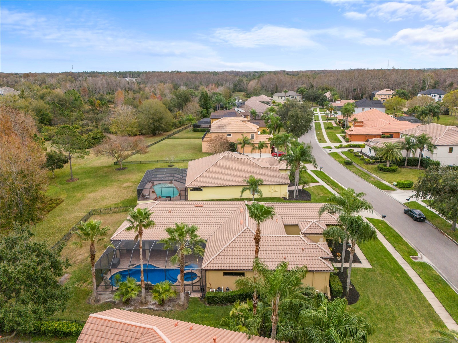 3640 Ballastone Drive Land O Lakes FL 34638 TB8465052 image68