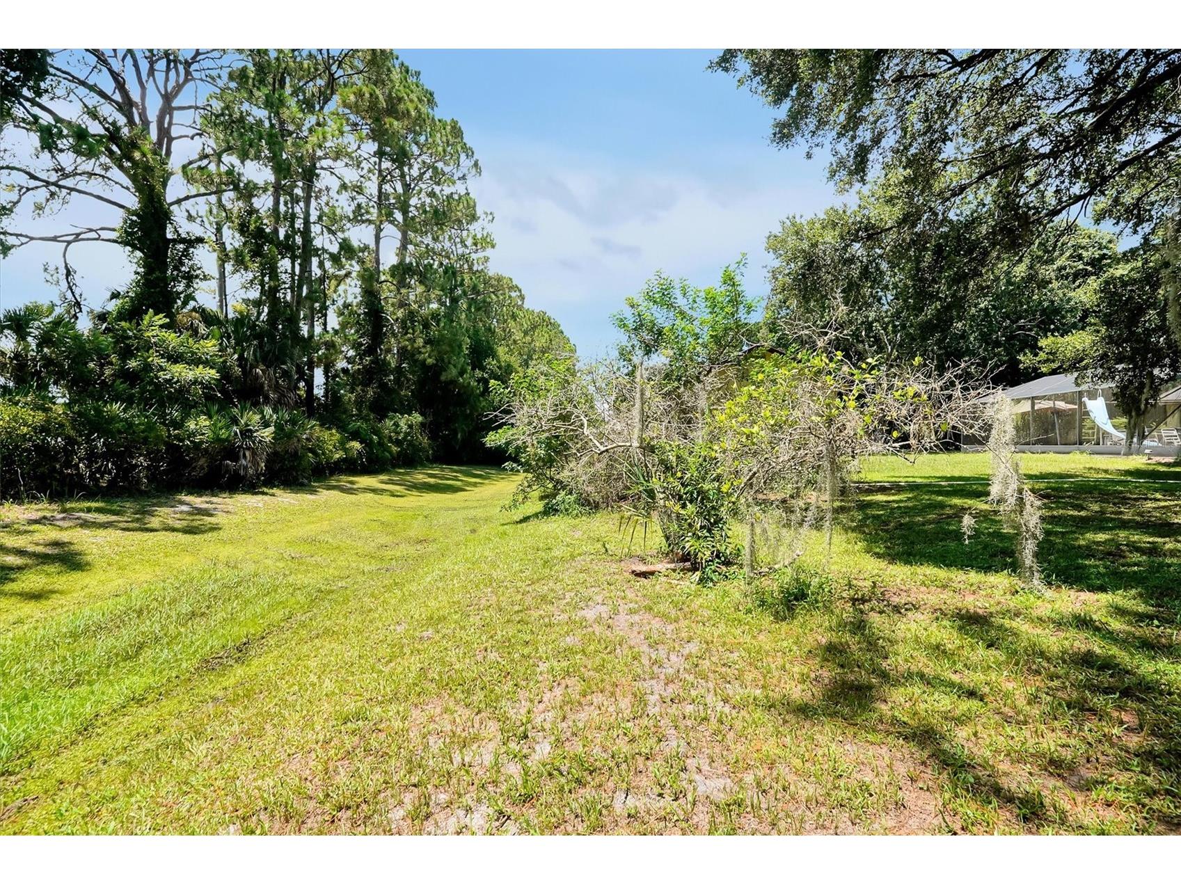 3640 Wood Duck Drive Mims FL 32754 O6422672 image35