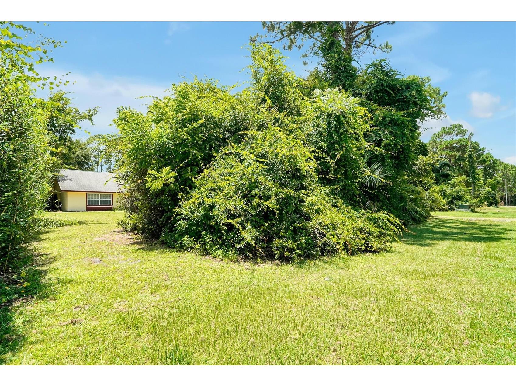 3640 Wood Duck Drive Mims FL 32754 O6422672 image38