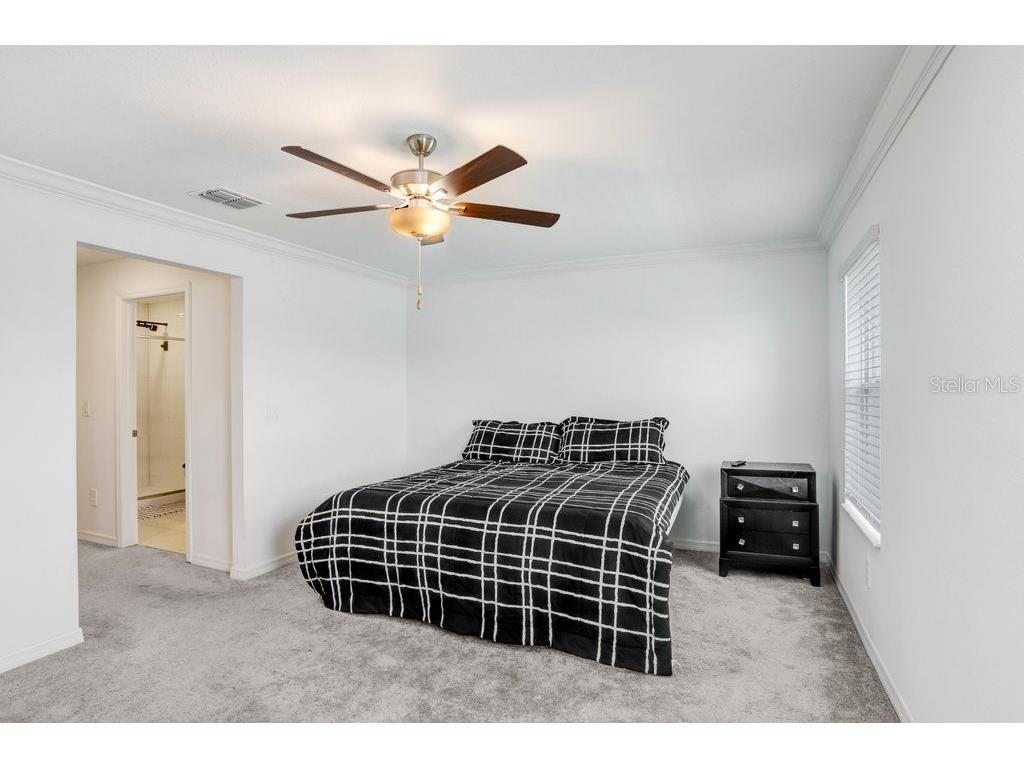 36401 Camp Fire Terrace Zephyrhills FL 33541 TB8430778 image21