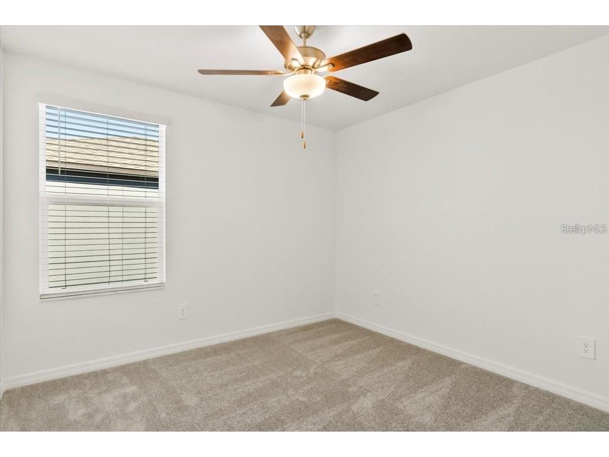 36403 Well Hill Way Zephyrhills FL 33541 TB8479766 image14