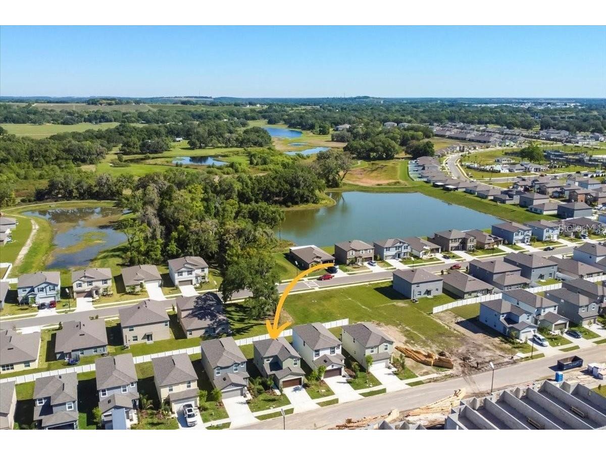 36403 Well Hill Way Zephyrhills FL 33541 TB8479766 image22