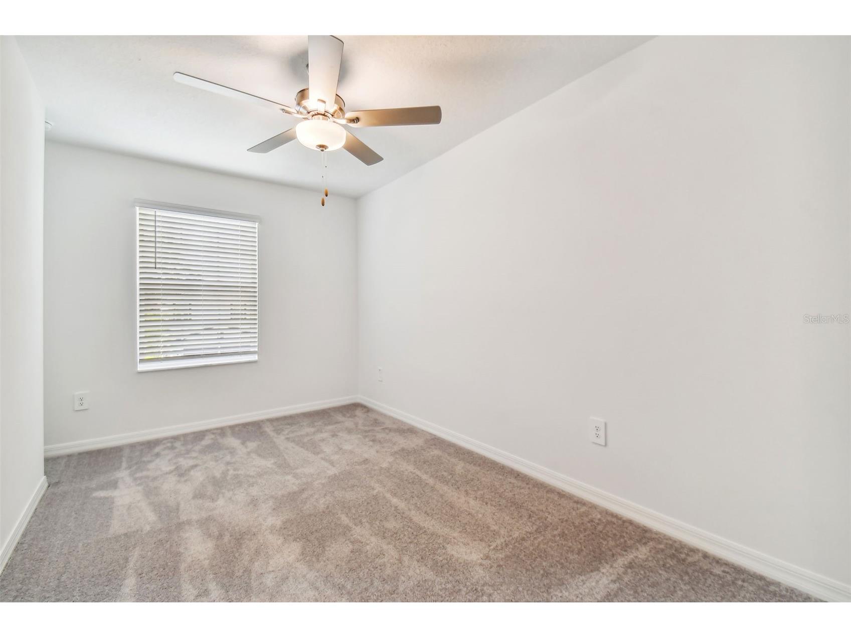 36406 Well Hill Way Zephyrhills FL 33541 TB8507917 image17