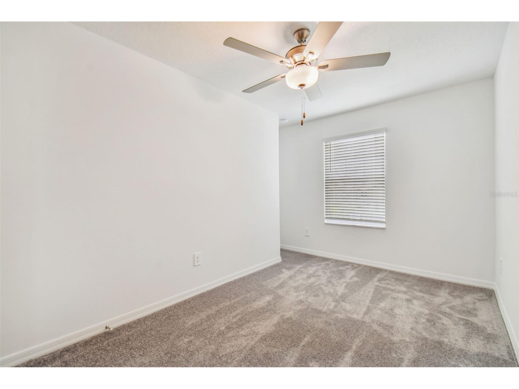 36406 Well Hill Way Zephyrhills FL 33541 TB8507917 image18