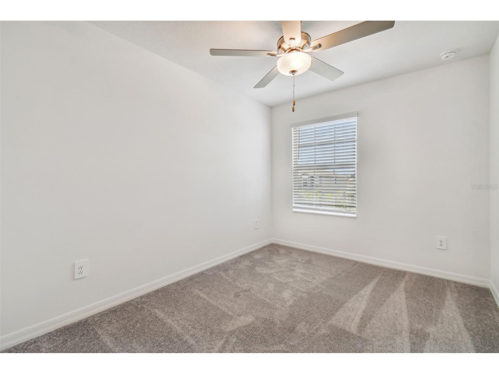 36406 Well Hill Way Zephyrhills FL 33541 TB8507917 image20