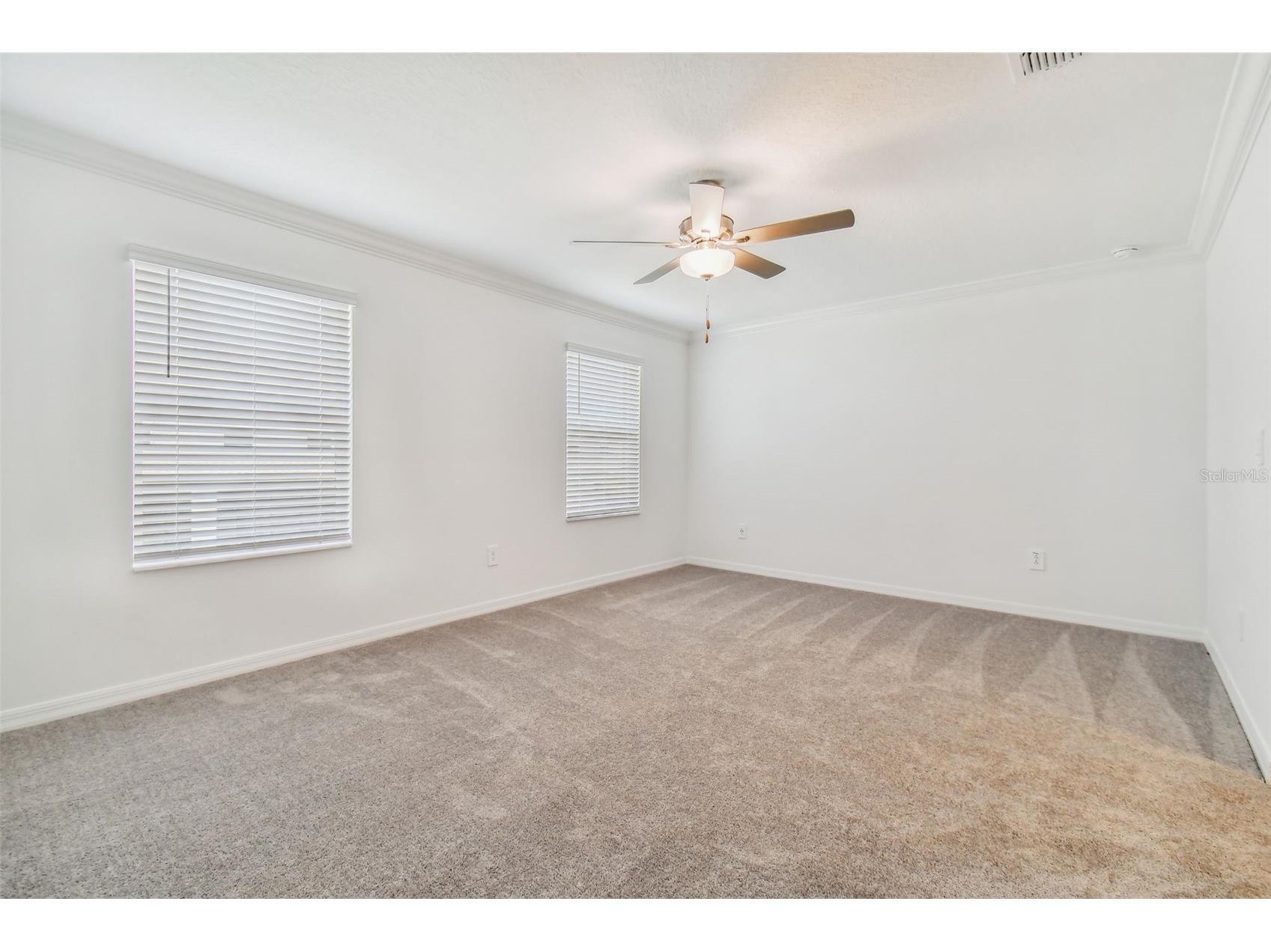 36406 Well Hill Way Zephyrhills FL 33541 TB8507917 image31