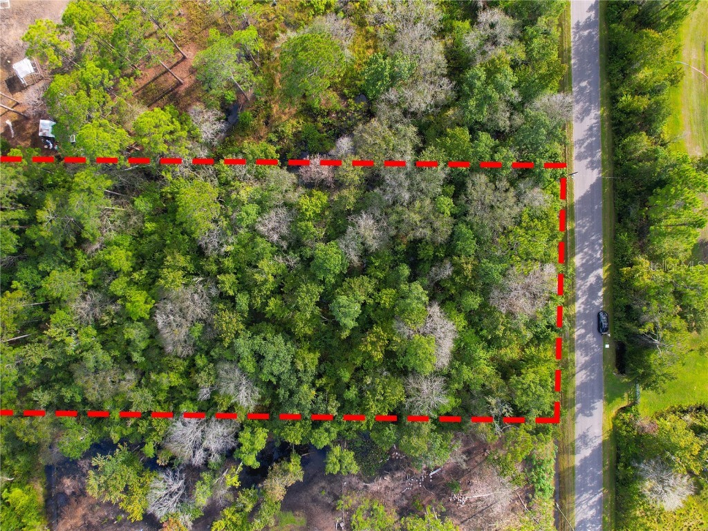 3641 Packard Avenue Saint Cloud FL 34772 S5137834 image15