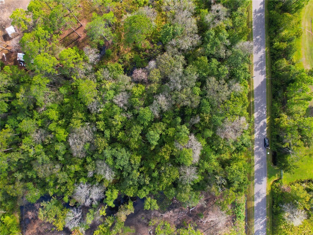 3641 Packard Avenue Saint Cloud FL 34772 S5137834 image16