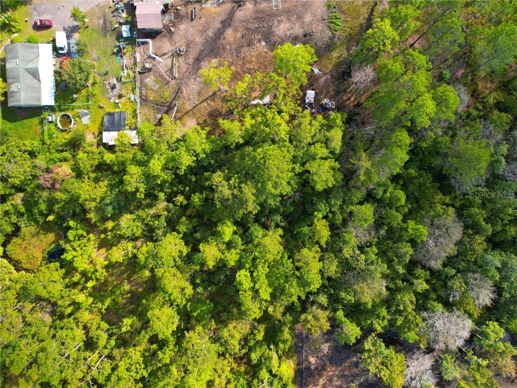 3641 Packard Avenue Saint Cloud FL 34772 S5137834 image17