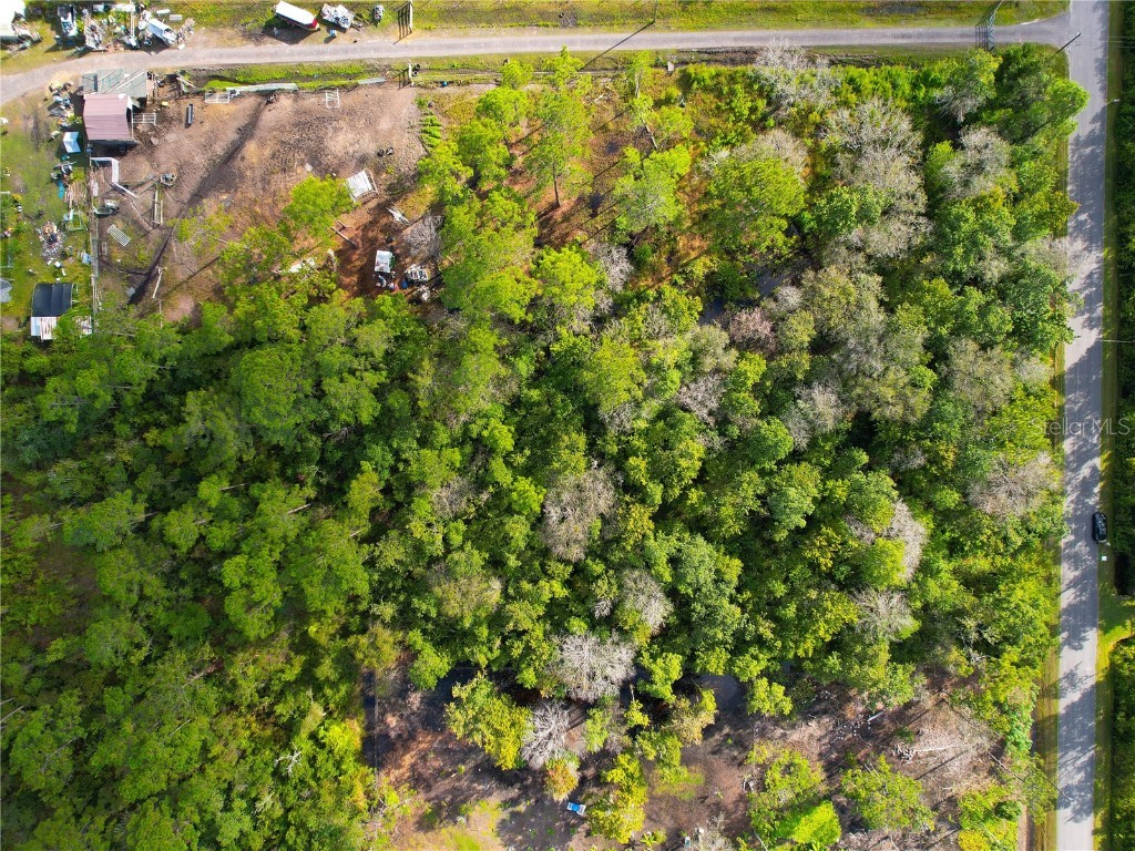 3641 Packard Avenue Saint Cloud FL 34772 S5137834 image19