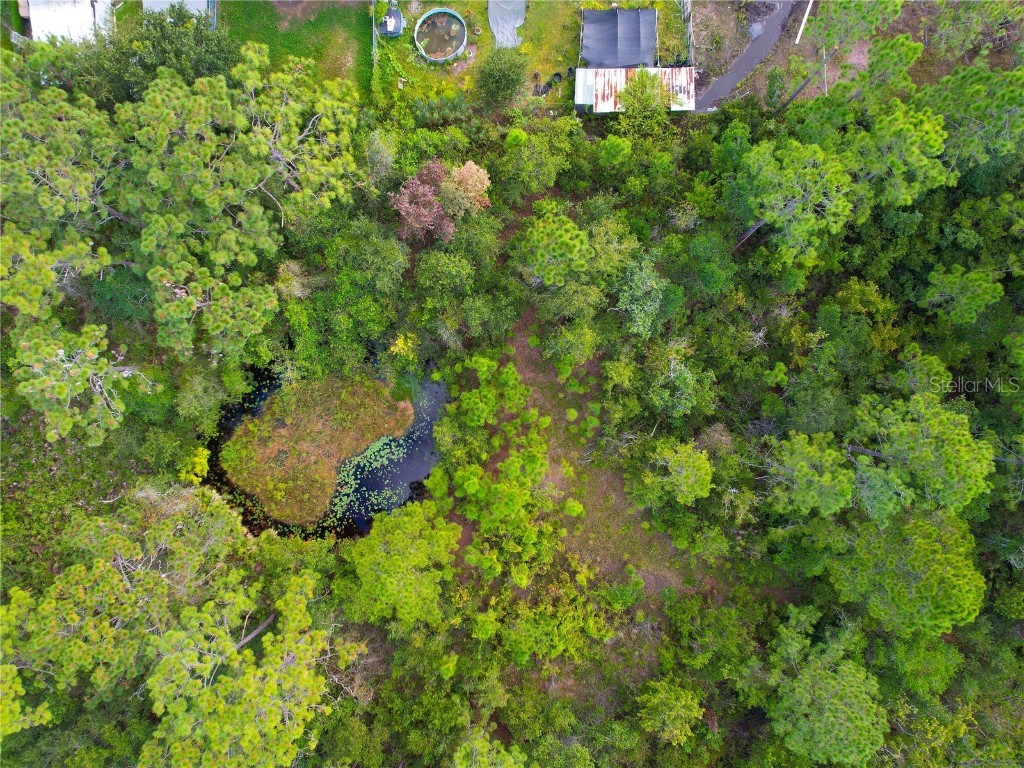 3641 Packard Avenue Saint Cloud FL 34772 S5137834 image22