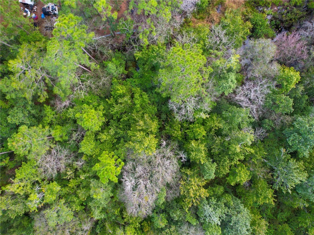 3641 Packard Avenue Saint Cloud FL 34772 S5137834 image25