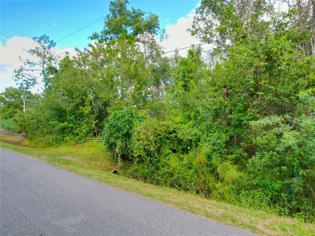 3641 Packard Avenue Saint Cloud FL 34772 S5137834 image26