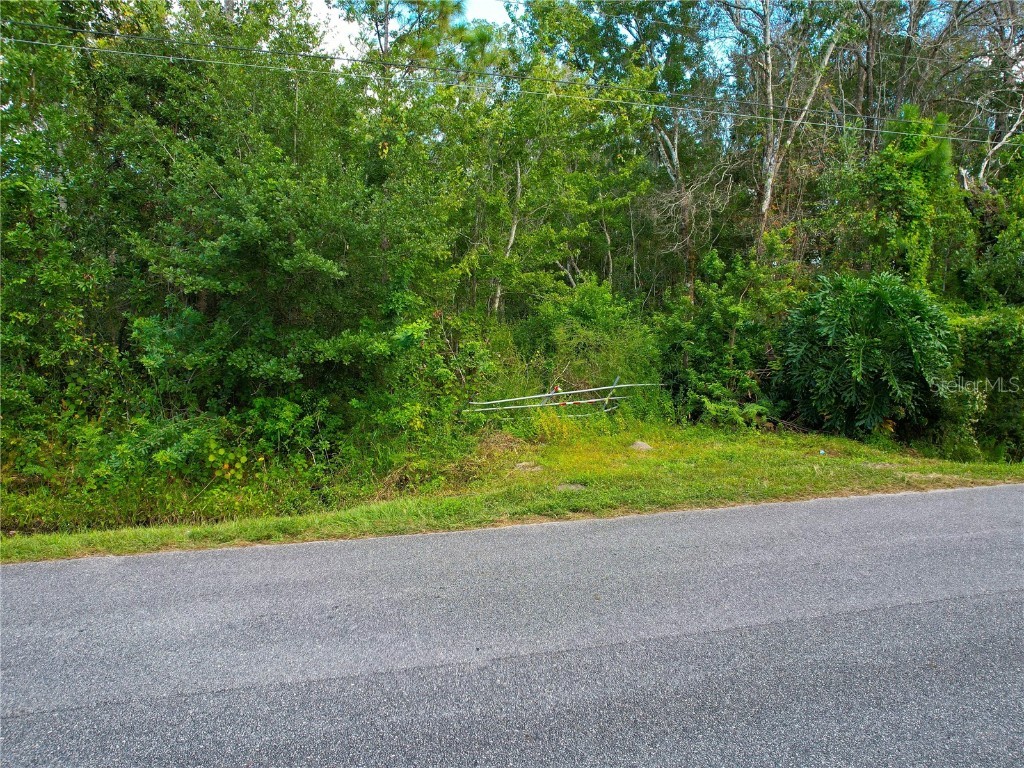 3641 Packard Avenue Saint Cloud FL 34772 S5137834 image27