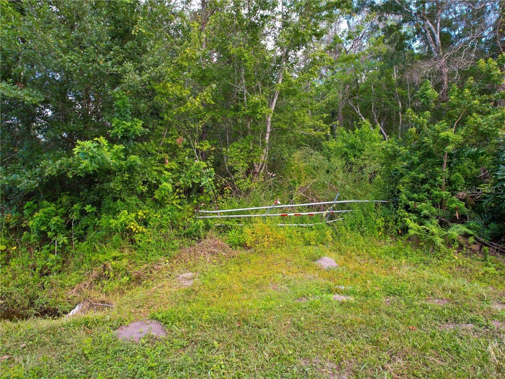 3641 Packard Avenue Saint Cloud FL 34772 S5137834 image28