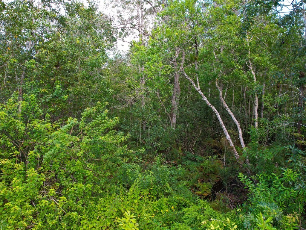 3641 Packard Avenue Saint Cloud FL 34772 S5137834 image30