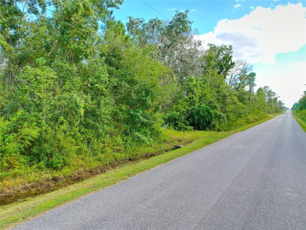 3641 Packard Avenue Saint Cloud FL 34772 S5137834 image31