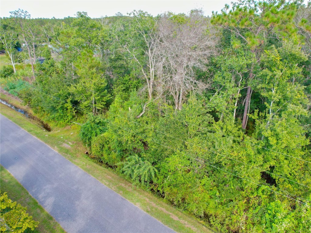 3641 Packard Avenue Saint Cloud FL 34772 S5137834 image36