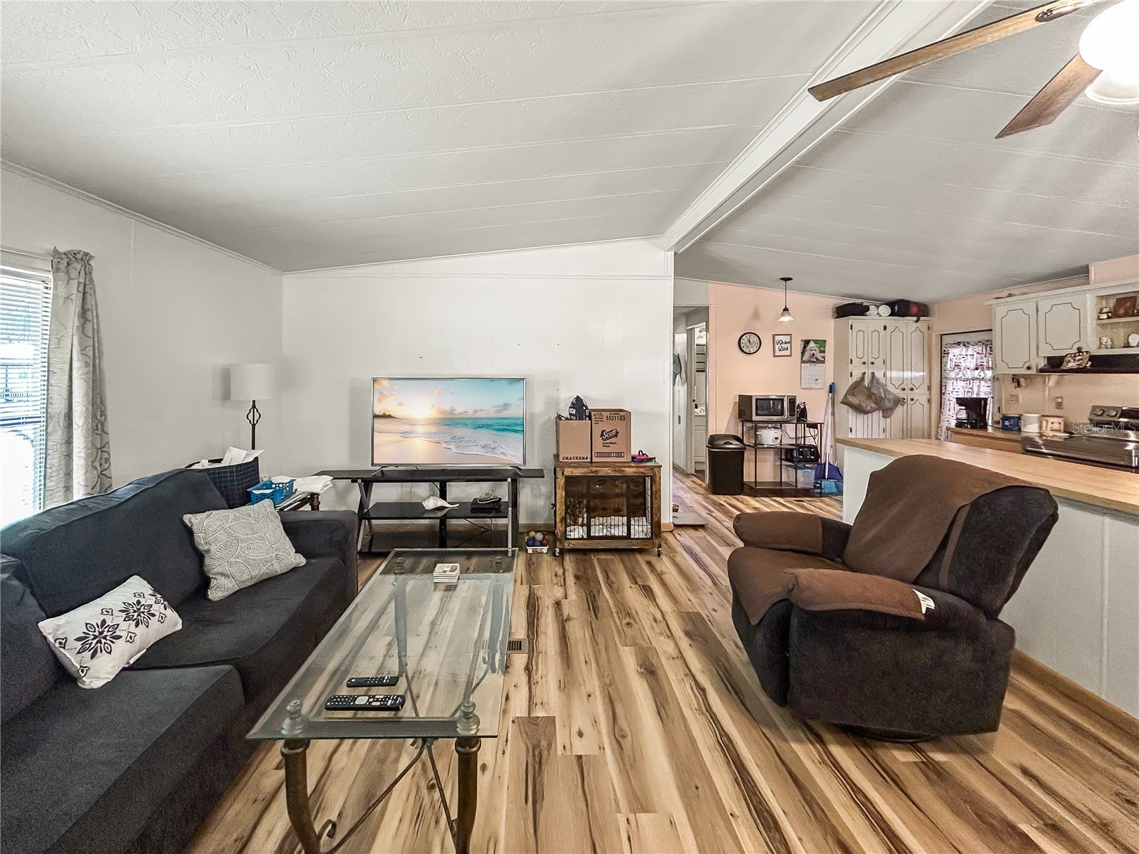 36412 Le Sabre Way Zephyrhills FL 33541 TB8515966 image13