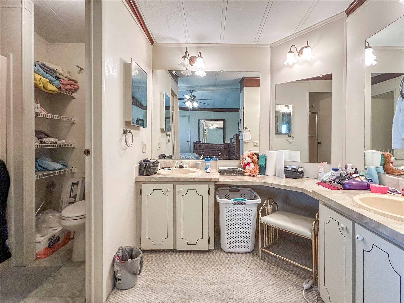 36412 Le Sabre Way Zephyrhills FL 33541 TB8515966 image20