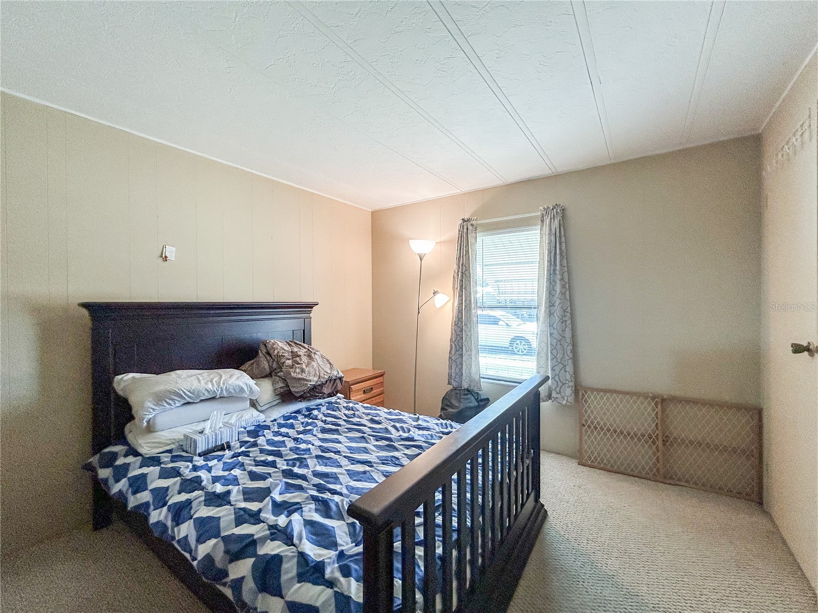 36412 Le Sabre Way Zephyrhills FL 33541 TB8515966 image22