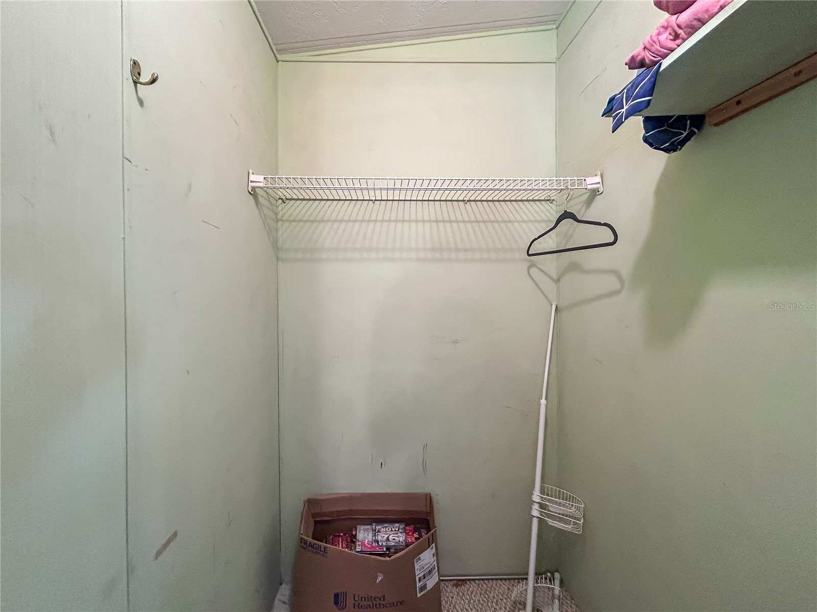 36412 Le Sabre Way Zephyrhills FL 33541 TB8515966 image24