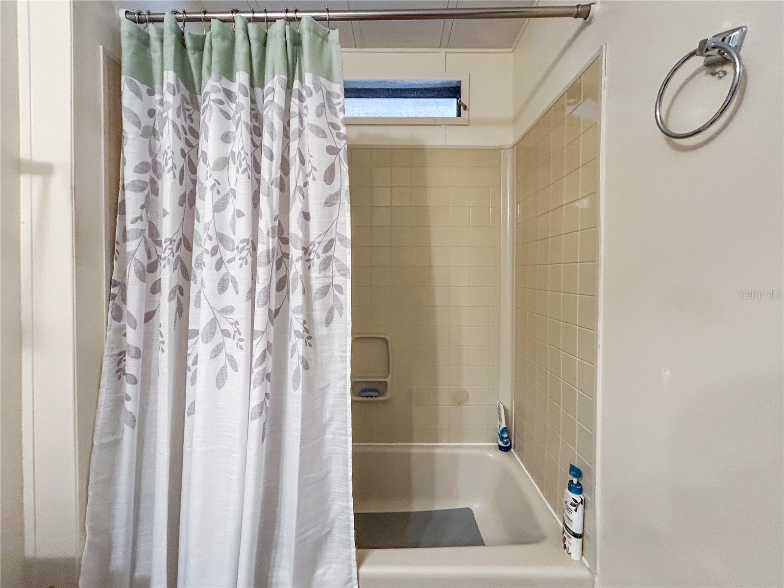 36412 Le Sabre Way Zephyrhills FL 33541 TB8515966 image27