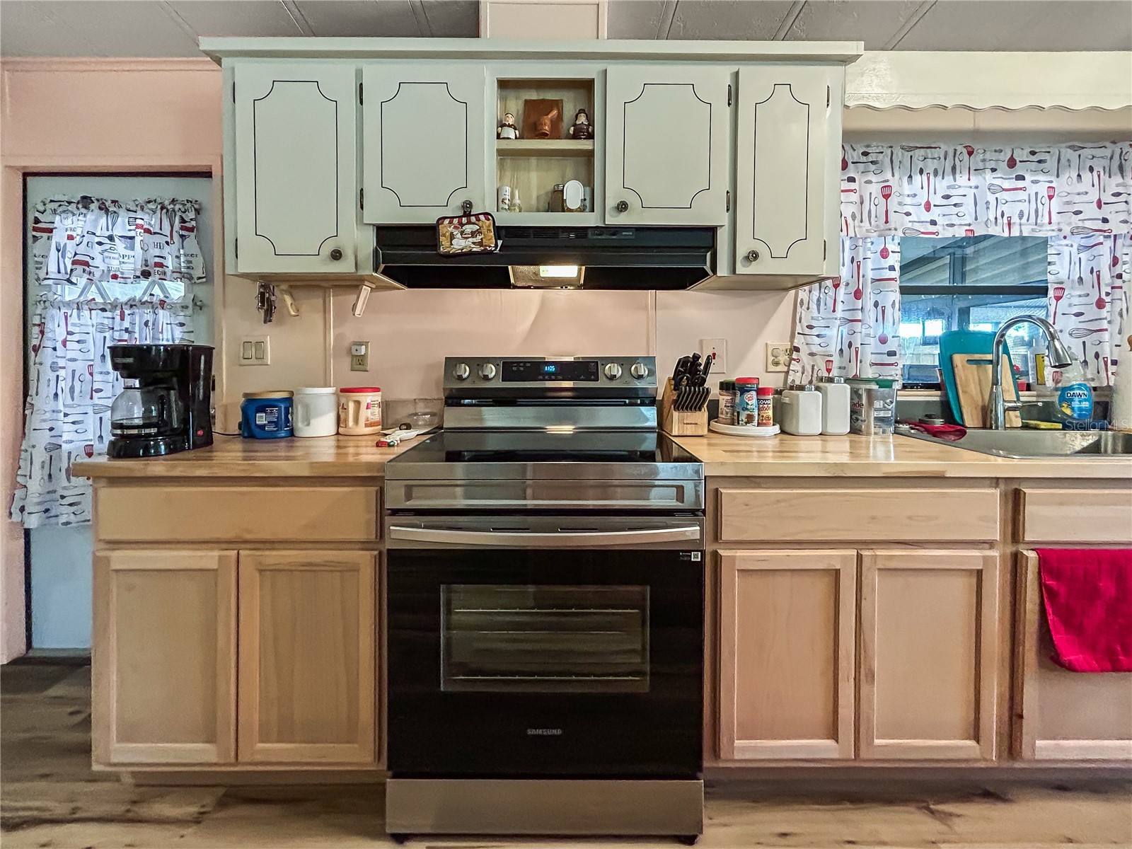 36412 Le Sabre Way Zephyrhills FL 33541 TB8515966 image7