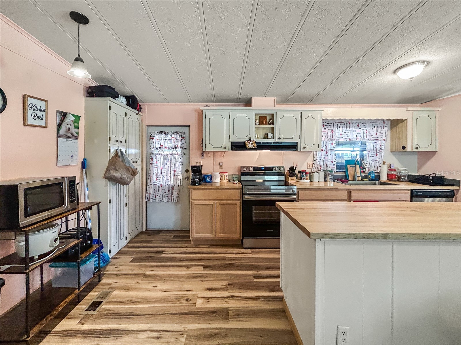36412 Le Sabre Way Zephyrhills FL 33541 TB8515966 image8
