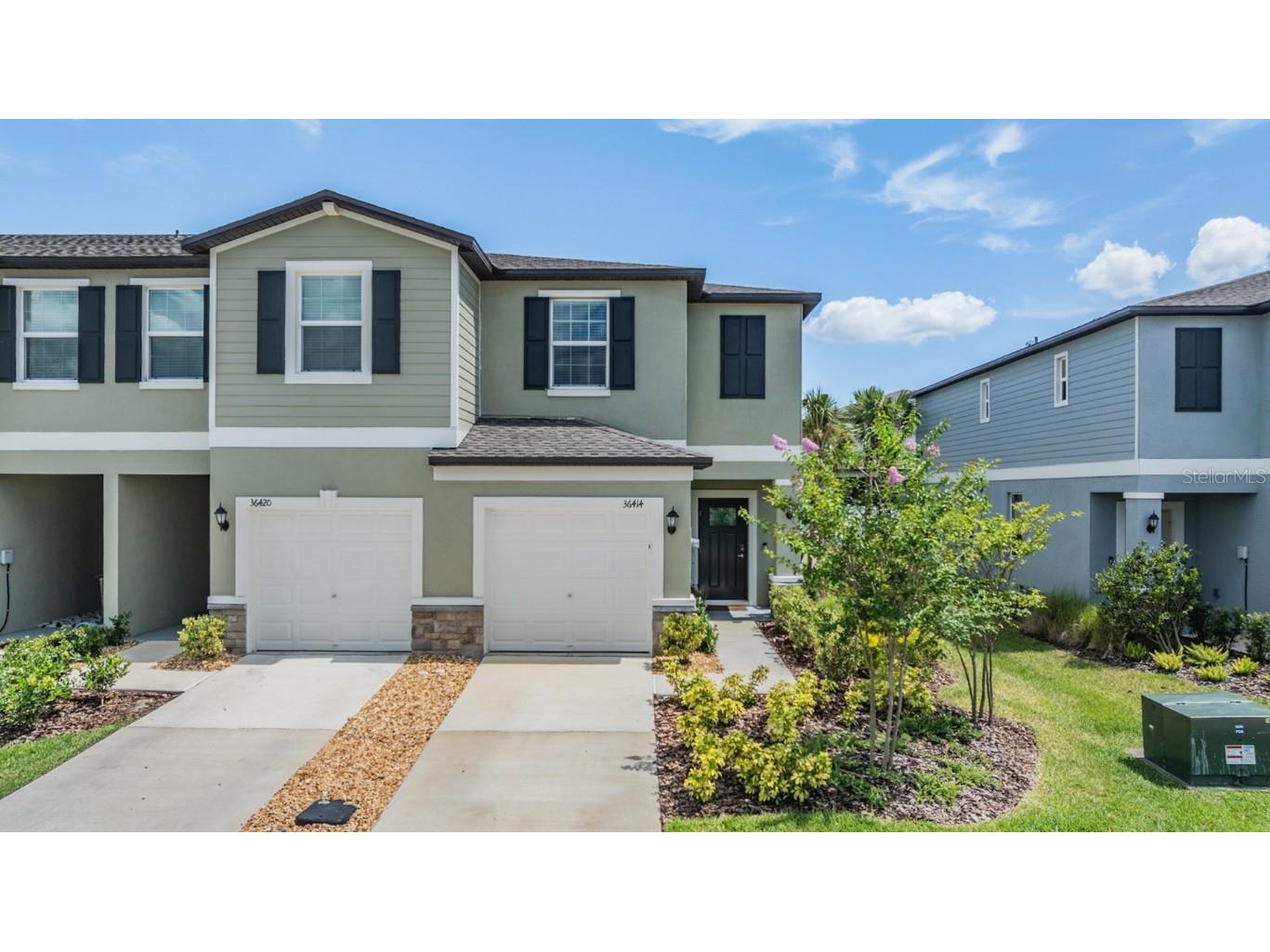 36414 Well Hill Way Zephyrhills FL 33541 TB8394964 image1