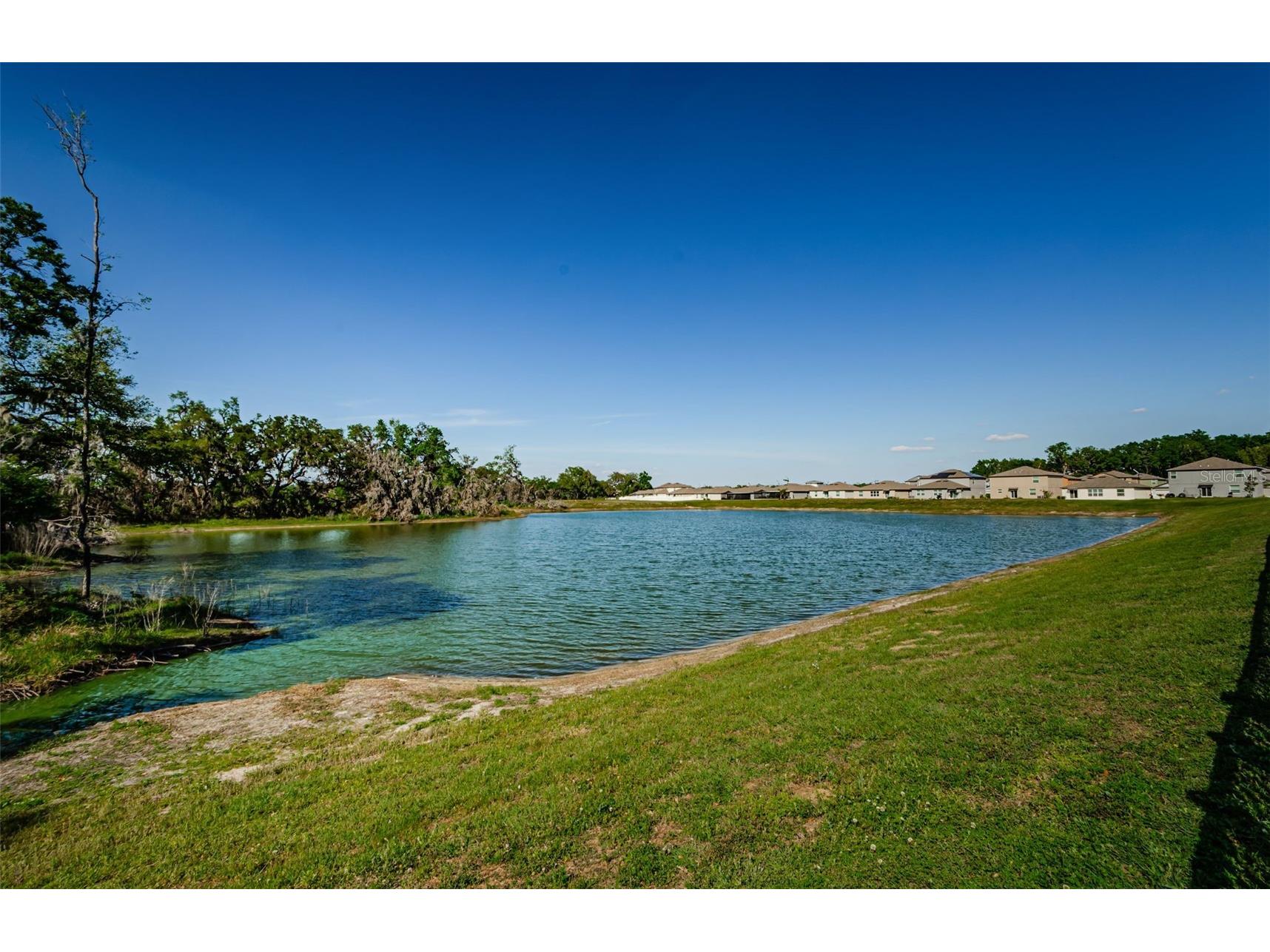 36419 Flats Street Zephyrhills FL 33541 W7885209 image38