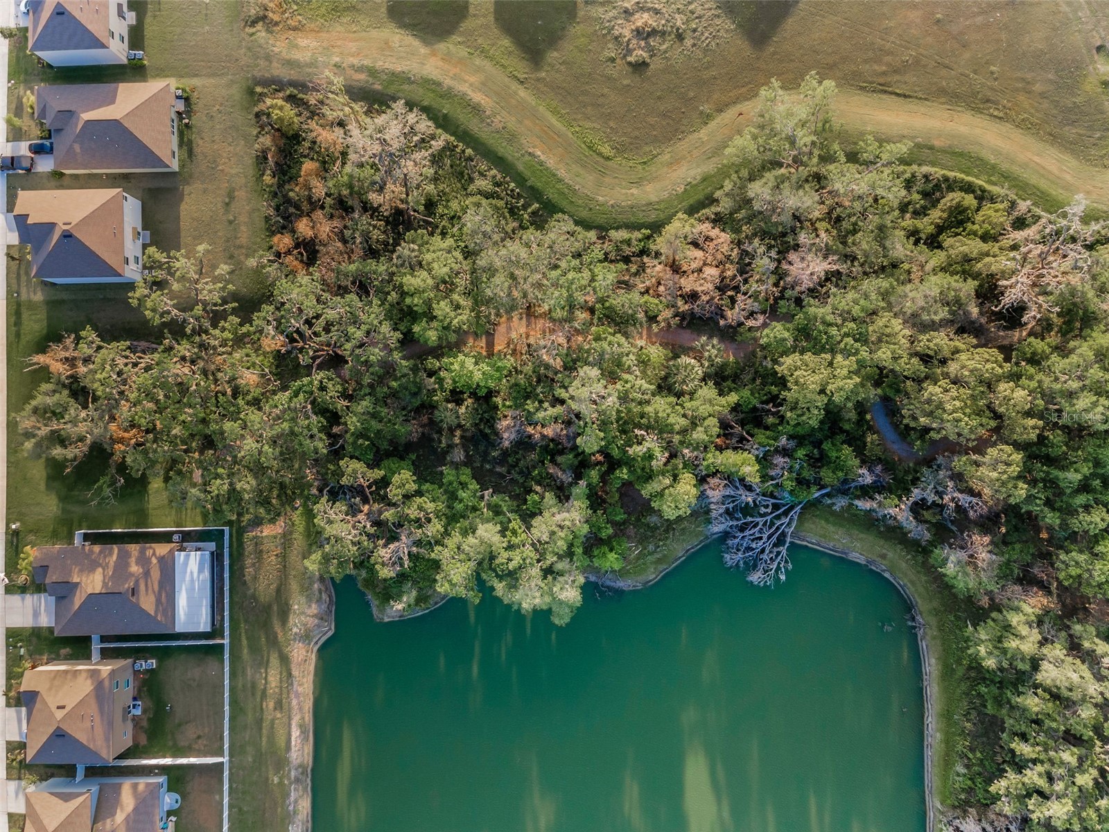 36419 Flats Street Zephyrhills FL 33541 W7885209 image45