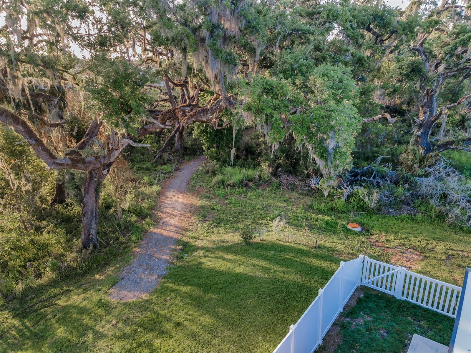 36419 Flats Street Zephyrhills FL 33541 W7885209 image64