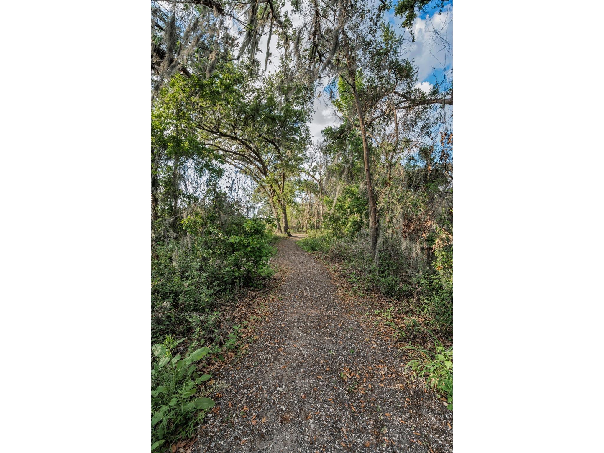 36419 Flats Street Zephyrhills FL 33541 W7885209 image66