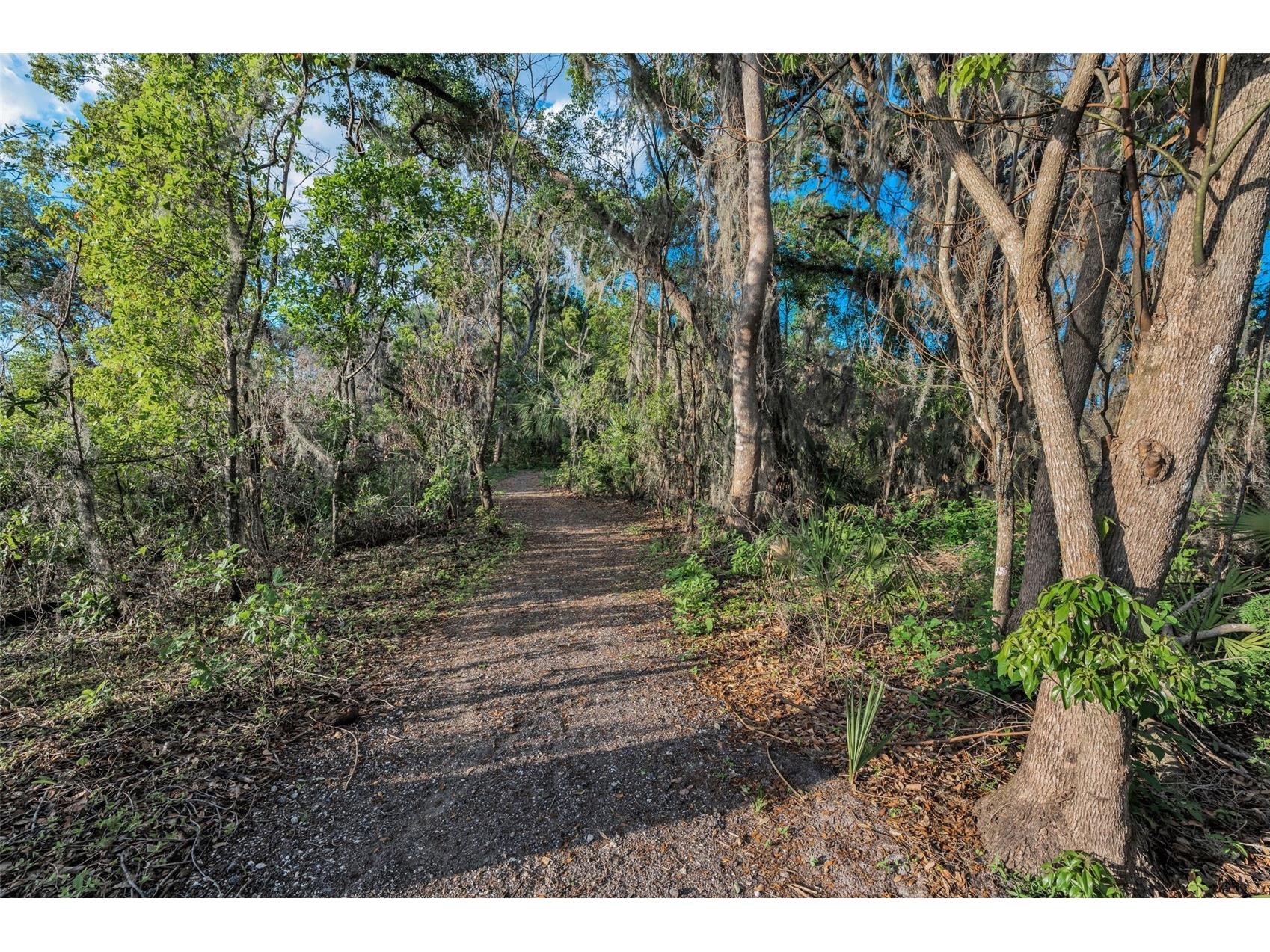 36419 Flats Street Zephyrhills FL 33541 W7885209 image67