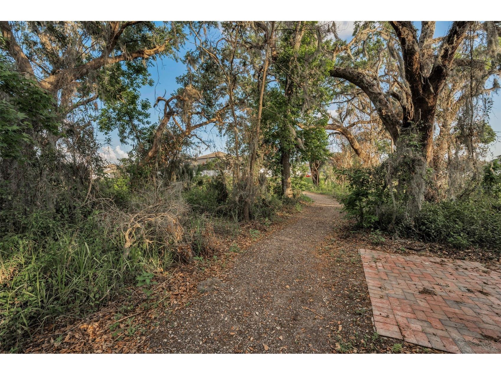 36419 Flats Street Zephyrhills FL 33541 W7885209 image70