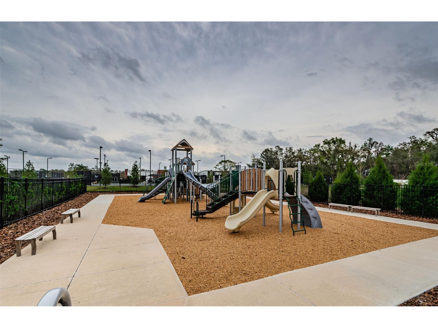 36419 Flats Street Zephyrhills FL 33541 W7885209 image98