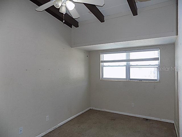 3642 Dover Drive Sarasota FL 34235 A4689634 image13
